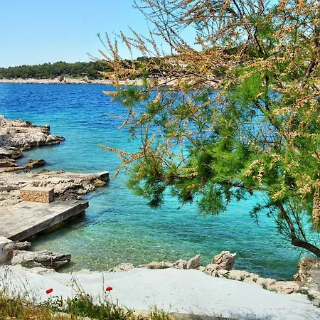 Bilo 8364b Lägenhet