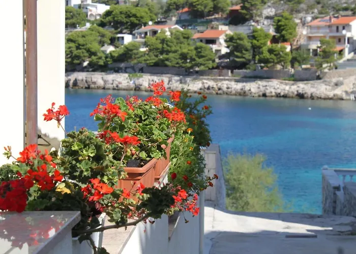 Apartman Bilo 8364b Primošten