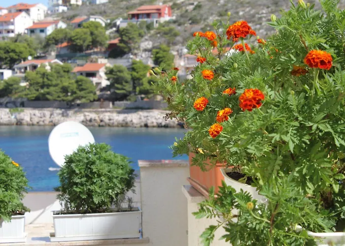 Bilo 8364b דירה *